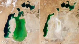 Nachhaltige Bioökonomie