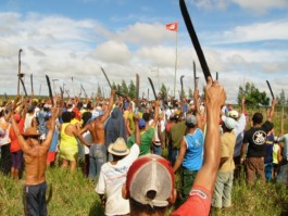 Nachhaltige Bioökonomie