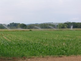 Nachhaltige Bioökonomie