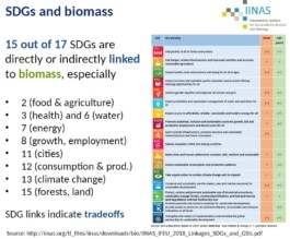 Nachhaltige Bioökonomie