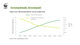 Nachhaltige Bioökonomie