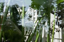 Nachhaltige Bioökonomie