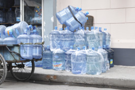 Nachhaltige Bioökonomie