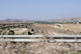 Nachhaltige Bioökonomie