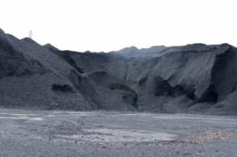 Nachhaltige Bioökonomie